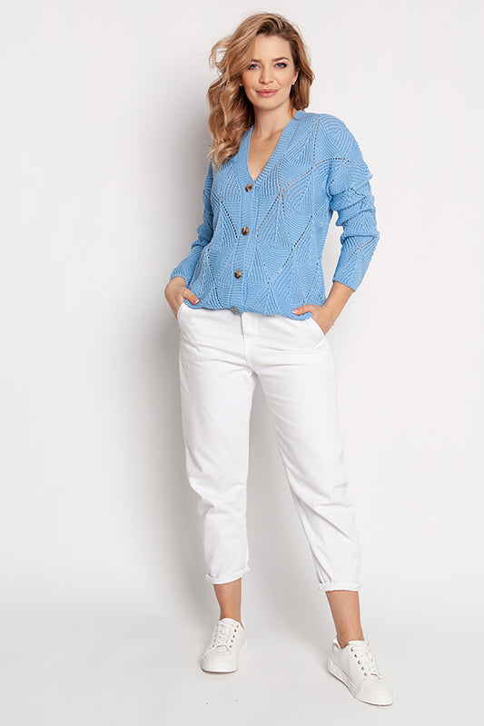 Blue Cardigan